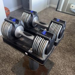 EPIC Brand Adjustable Dumbbell Set and Stand
