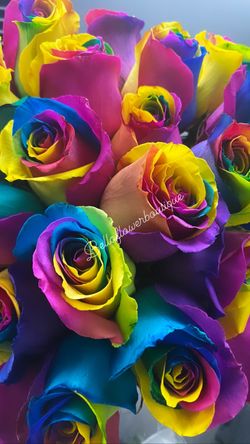 Rainbow roses 🌹 available in base in a bouquet