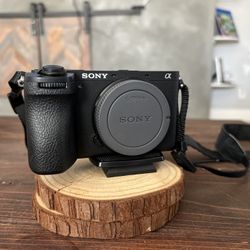 Sony 6700/Tamron 35-150