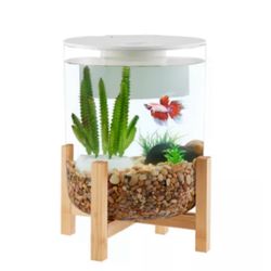 3 Gallon Fish Tank