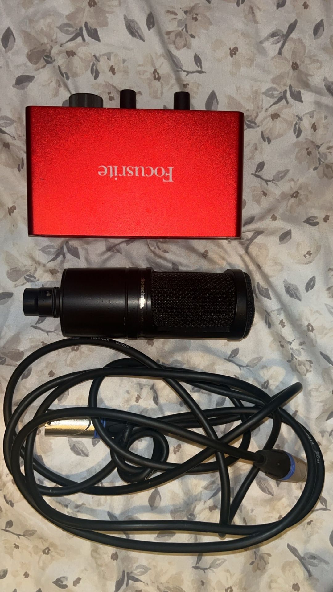 Mic + Audio interface