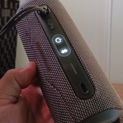 JBL Flip 6