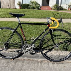 Vintage 1983 Trek 640 Road Bicycle 53cm With Campagnolo Groupset