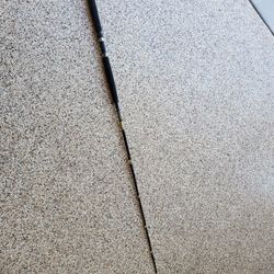 Shimano Sarasoga Rod