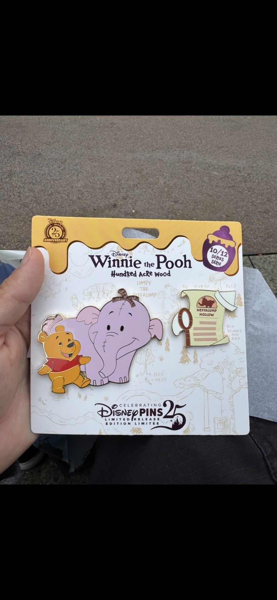 Winnie The Pooh Disney Pin Series 10