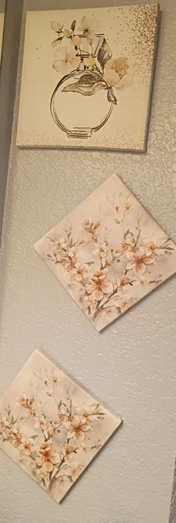Canvas frames
