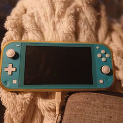 Switch lite