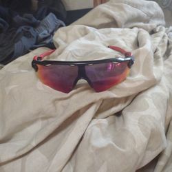 Oakley Sunglasses 