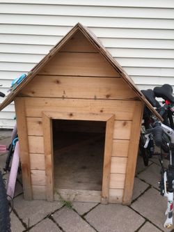 XL doghouse