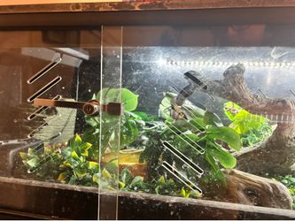 4x2 Snake pvc (reptile)