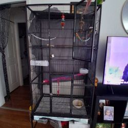 Esther Green  And Zullin Sister Green Black