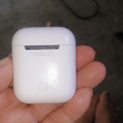 Apple Earbuds In Case