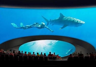 Georgia Aquarium Unlimited