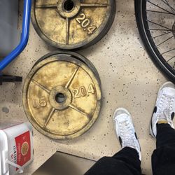 45lbs Plate Iron