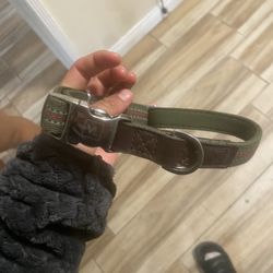 Dog Collar