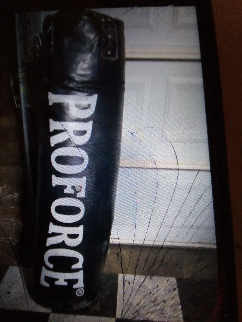 Pro force Punching Bag