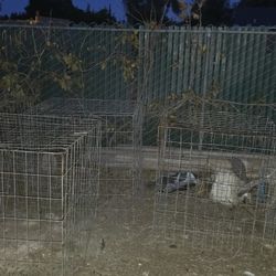 Chicken/Rooster Cages For Sale