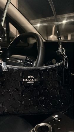 teri coach bag