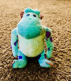 Sully Mini stuff