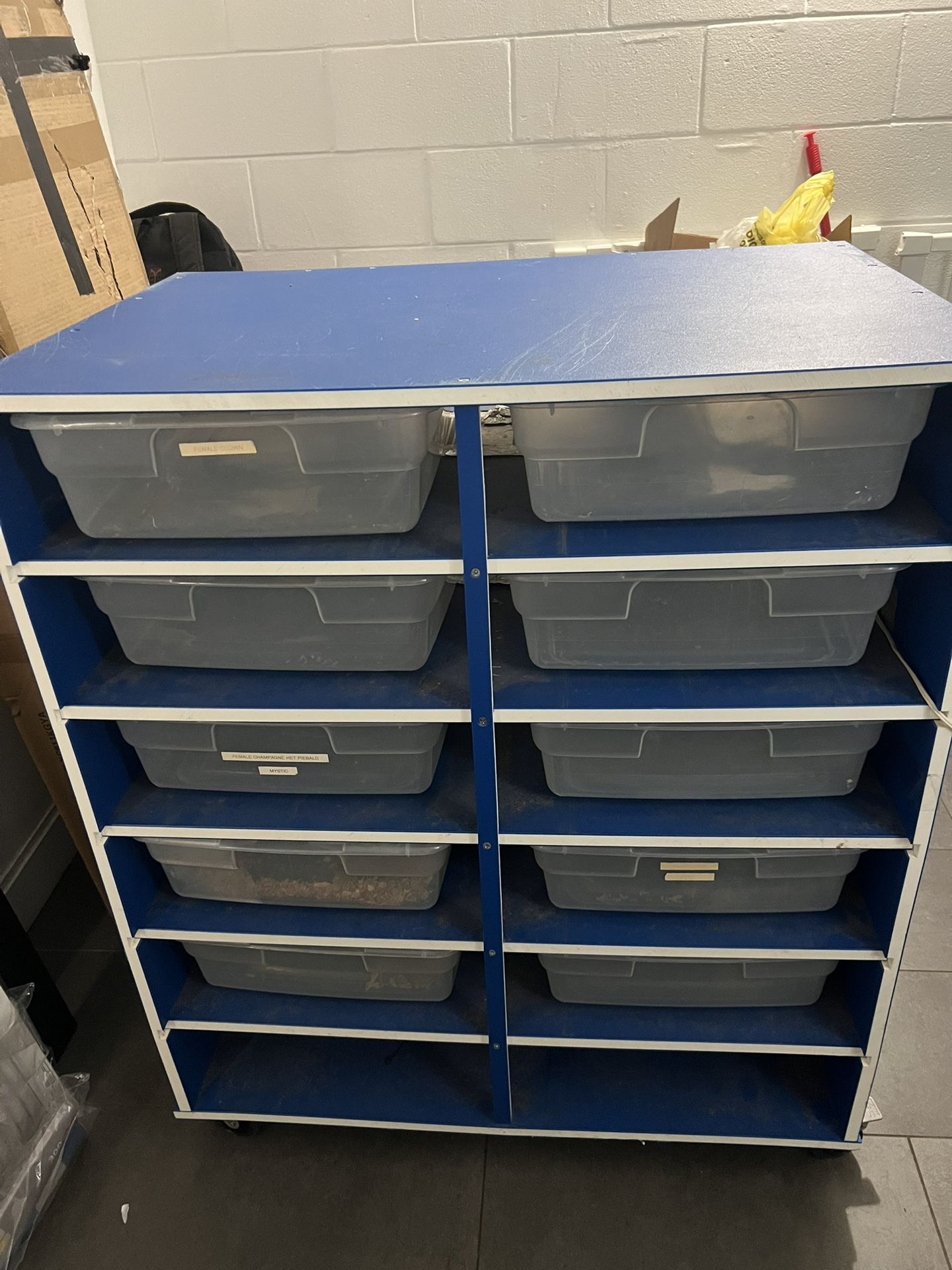 Snake Rack