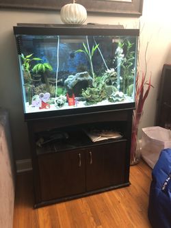 Fish tank