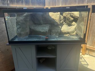 75 Gallon Fish Tank Setup – Tank, Rock Background & Stand