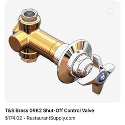 Shut Off Control Valve T&S