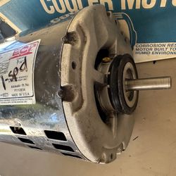 Used 1/3 Hp Cooler Motor ,I Will Plug It In and You Can See It Work! J
