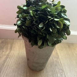 Faux Plant