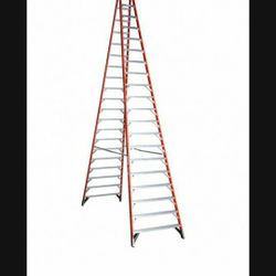 Werner 20ft Ladder 