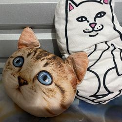 Cat Pillows 