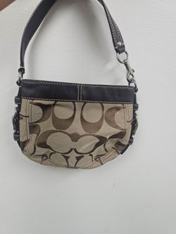 Coach Signature Demi Pouch Bag