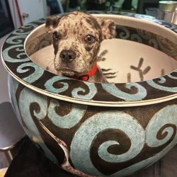 Vintage Chinese-Style Jardiniere with Cranes & Waves