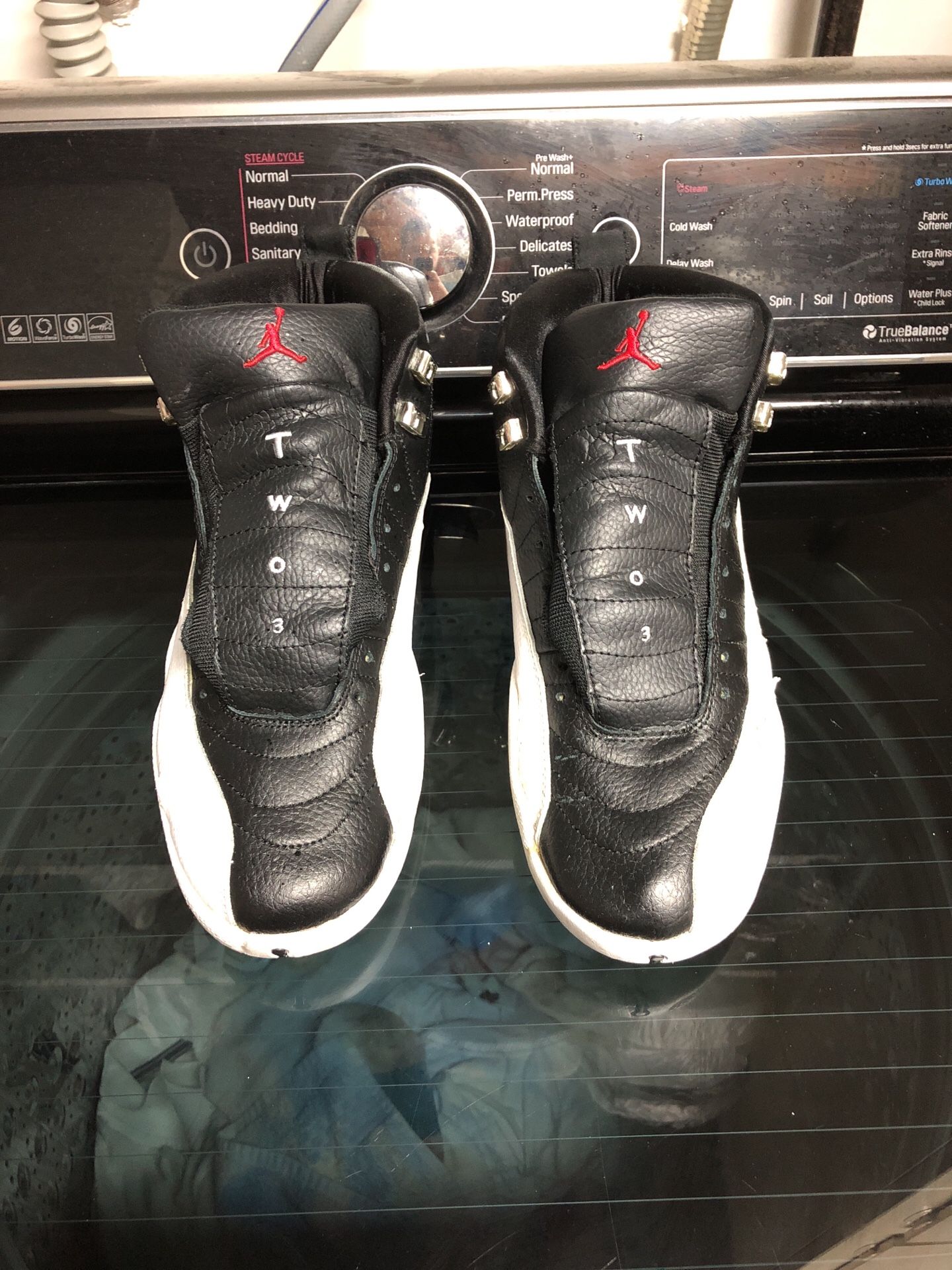 Air Jordan 12 retro.