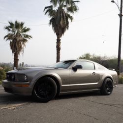 2005 Ford Mustang