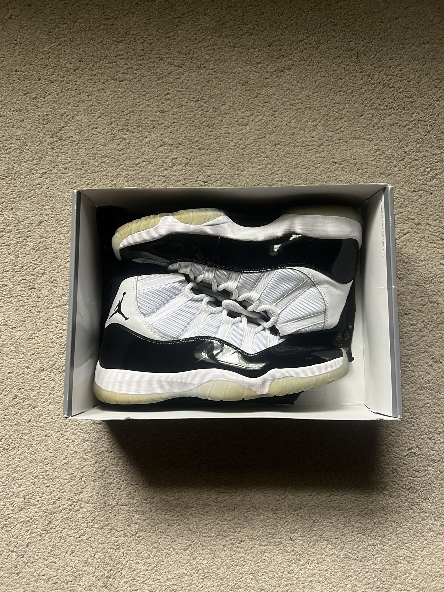 Jordan 11 “Concord” Size 11