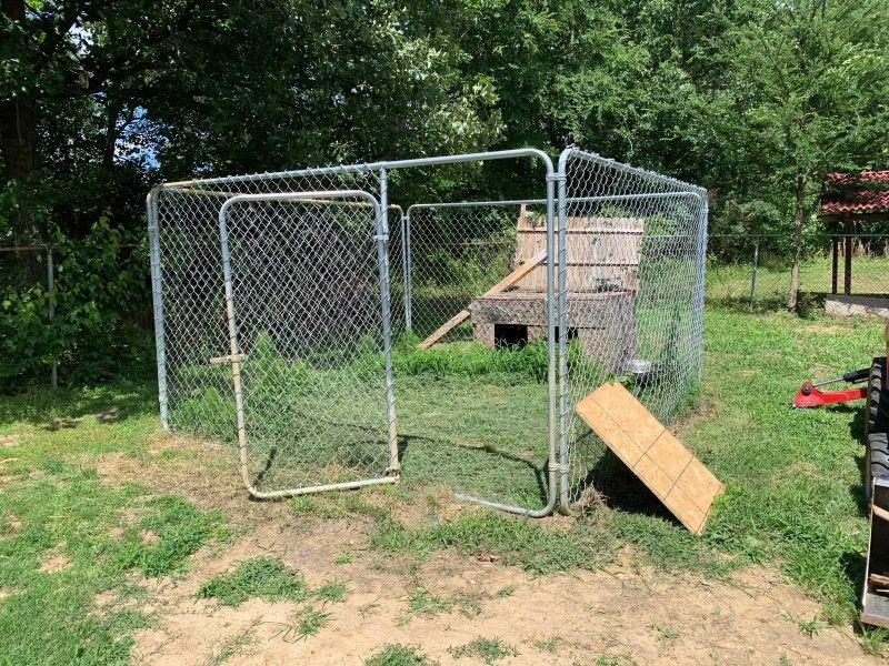 Dog Lot