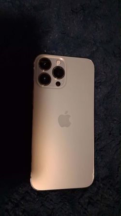 iPhone 13 Pro Max