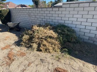 Property Cleanup