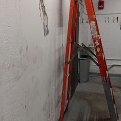8 Foot Ladder