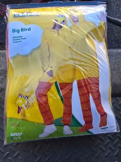 Big bird costume