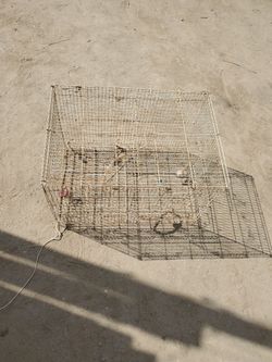 Medium size bird cage