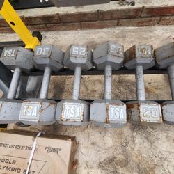 Dumbbells 20-45