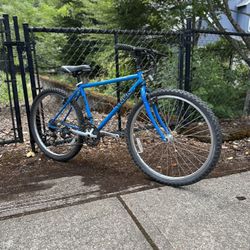 Trek Mountain Bike