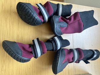 American Kennel Club Dog Shoes 