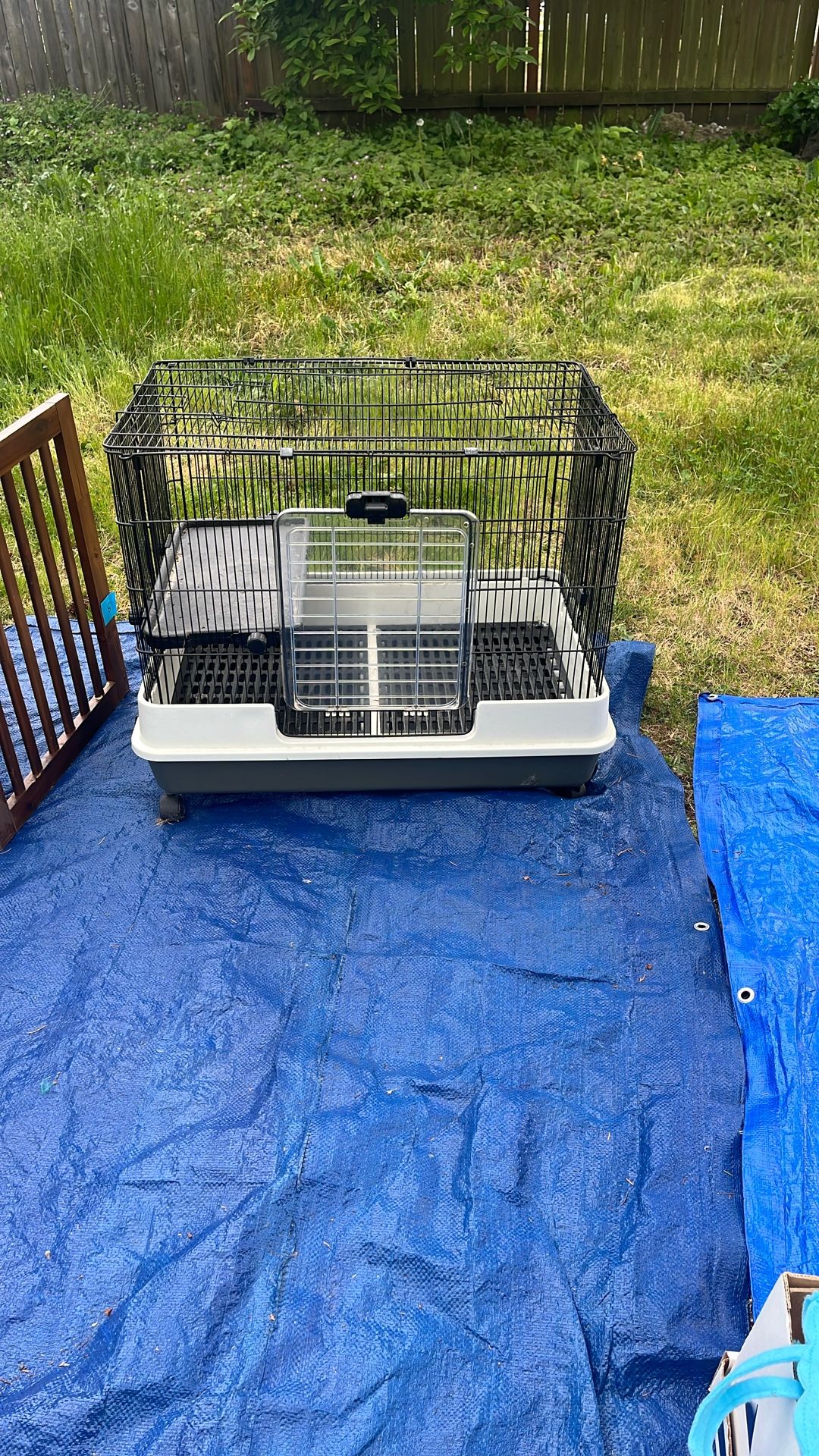Bunny Cage On Wheels 