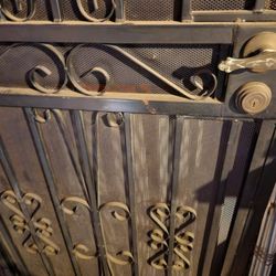 SECURITY DOOR
