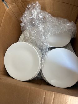 Medium size plates 6 inches