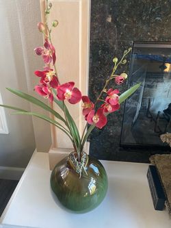 Silk orchid plant