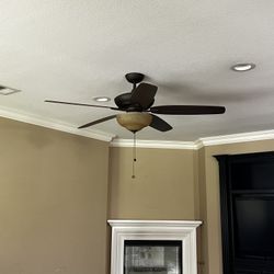 Ceiling Fans